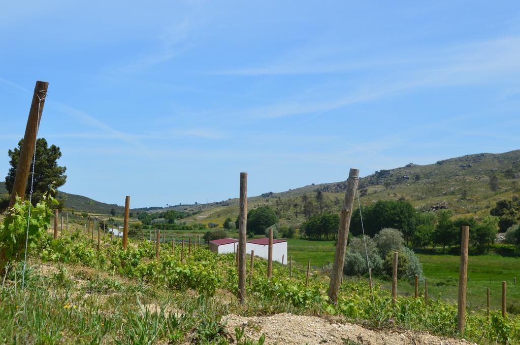 Quinta Vale Da Prata Villa Celorico Da Beira Buitenkant foto