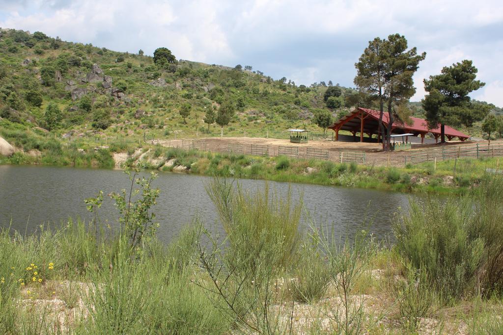 Quinta Vale Da Prata Villa Celorico Da Beira Buitenkant foto