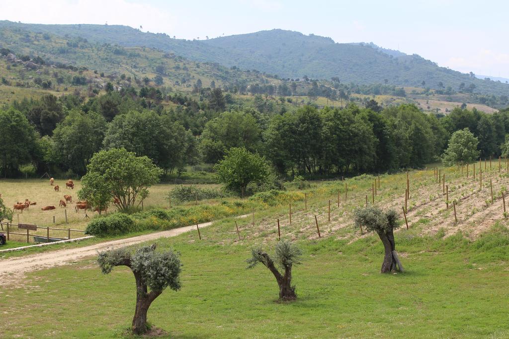 Quinta Vale Da Prata Villa Celorico Da Beira Buitenkant foto
