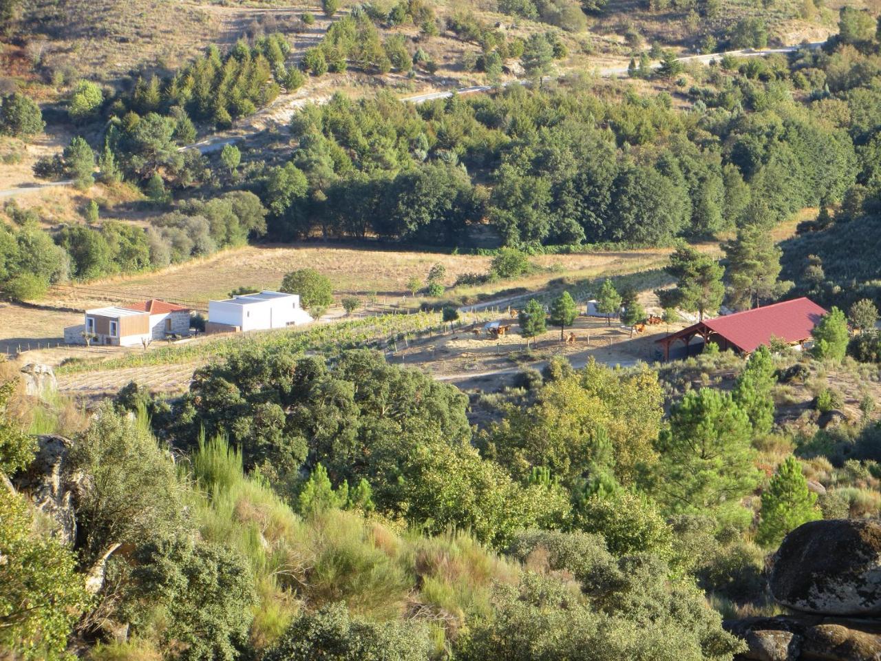 Quinta Vale Da Prata Villa Celorico Da Beira Buitenkant foto